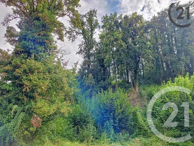 Terrain à vendre - 1360 m2 - Quenne - 89 - BOURGOGNE