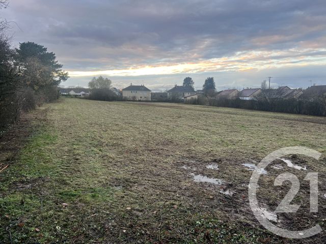 Terrain &agrave; vendre - 6688 m2 - Gurgy - 89 - BOURGOGNE