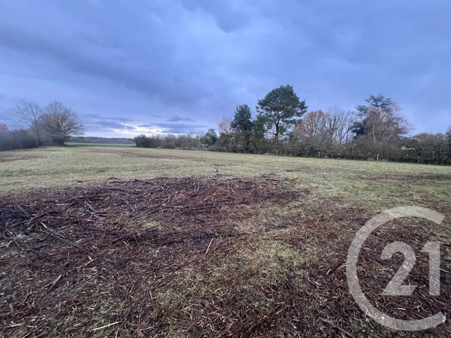 Terrain &agrave; vendre - 6688 m2 - Gurgy - 89 - BOURGOGNE