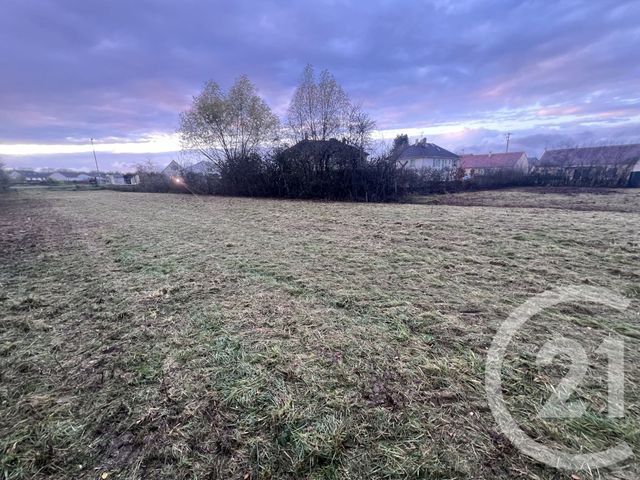 Terrain &agrave; vendre - 6688 m2 - Gurgy - 89 - BOURGOGNE
