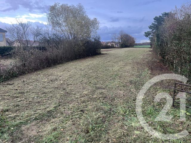 Terrain &agrave; vendre - 6688 m2 - Gurgy - 89 - BOURGOGNE