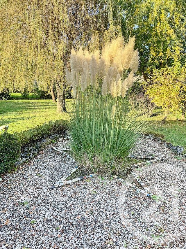 Maison à vendre - 7 pièces - 101,42 m2 - St Georges Sur Baulche - 89 - BOURGOGNE