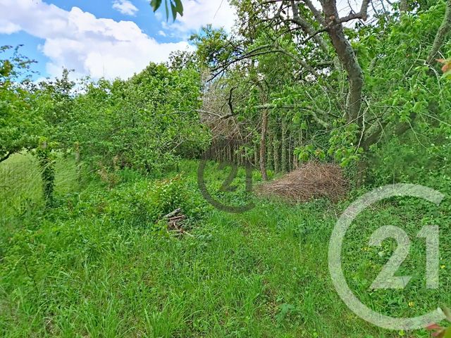 Maison &agrave; vendre - 10 pi&egrave;ces - 296,81 m2 - Escamps - 89 - BOURGOGNE