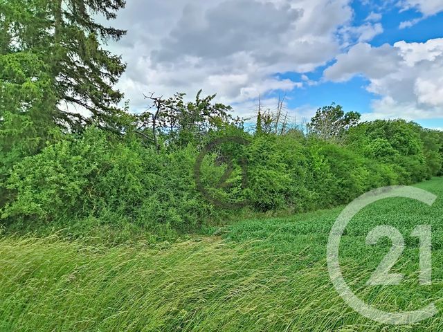 Maison &agrave; vendre - 10 pi&egrave;ces - 296,81 m2 - Escamps - 89 - BOURGOGNE