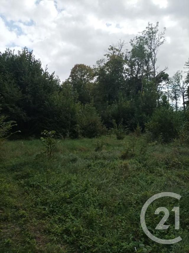 Terrain à vendre - 4900 m2 - Boult Sur Suippe - 51 - CHAMPAGNE-ARDENNE