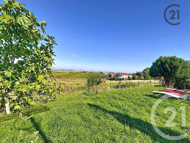 Maison à vendre - 9 pièces - 209,91 m2 - Villers Allerand - 51 - CHAMPAGNE-ARDENNE