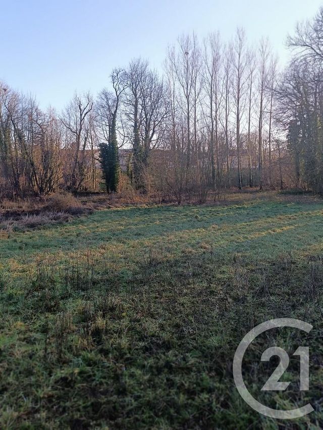Terrain à vendre - 4223 m2 - Vatry - 51 - CHAMPAGNE-ARDENNE