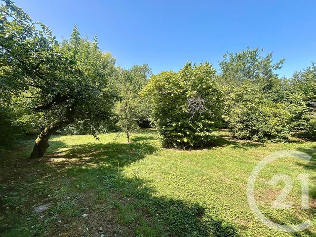 Maison à vendre - 8 pièces - 302,52 m2 - St Amand Sur Fion - 51 - CHAMPAGNE-ARDENNE