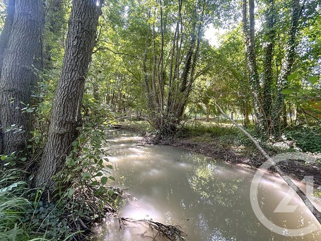 Maison à vendre - 8 pièces - 302,52 m2 - St Amand Sur Fion - 51 - CHAMPAGNE-ARDENNE