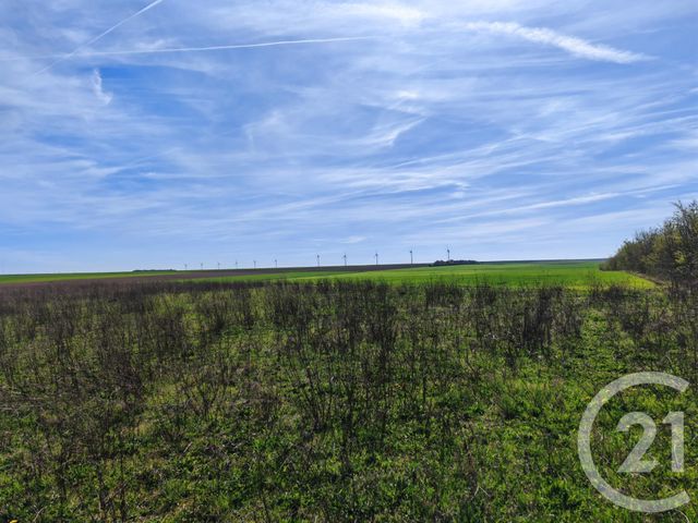 Terrain &agrave; vendre - 1252 m2 - Breuvery Sur Coole - 51 - CHAMPAGNE-ARDENNE