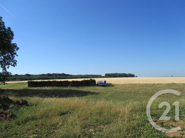 Maison à louer - 4 pièces - 77 m2 - St Prancher - 88 - LORRAINE