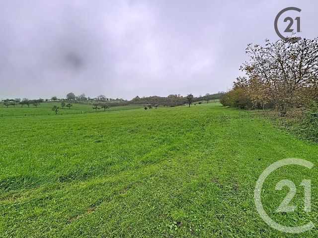 Maison à vendre - 1 pièce - 139,52 m2 - They Sous Montfort - 88 - LORRAINE