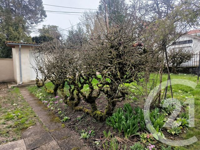 Appartement à louer - 3 pièces - 50 m2 - Vittel - 88 - LORRAINE
