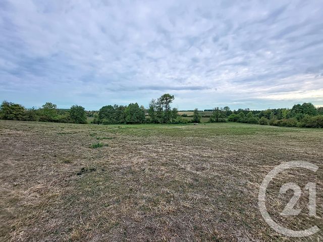 Maison &agrave; vendre - 7 pi&egrave;ces - 238 m2 - Bocquegney - 88 - LORRAINE
