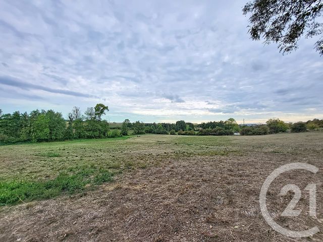 Maison &agrave; vendre - 7 pi&egrave;ces - 238 m2 - Bocquegney - 88 - LORRAINE