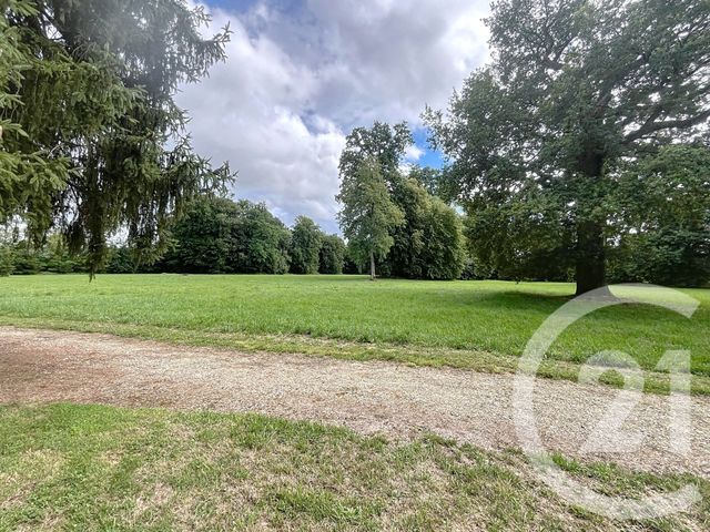 Maison à vendre - 7 pièces - 467 m2 - Le Baizil - 51 - CHAMPAGNE-ARDENNE