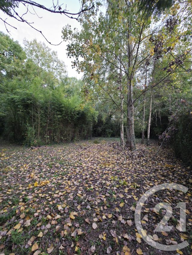 Terrain à vendre - 1563 m2 - Ay Champagne - 51 - CHAMPAGNE-ARDENNE