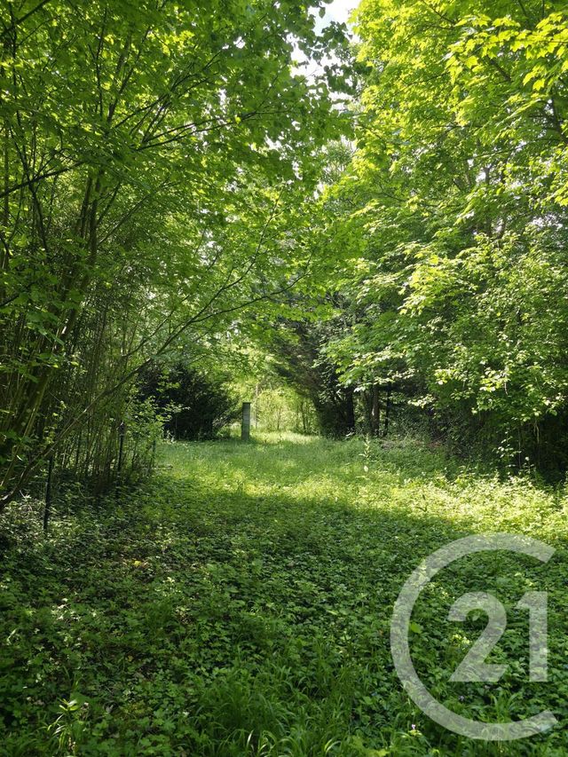 Terrain à vendre - 1563 m2 - Ay Champagne - 51 - CHAMPAGNE-ARDENNE