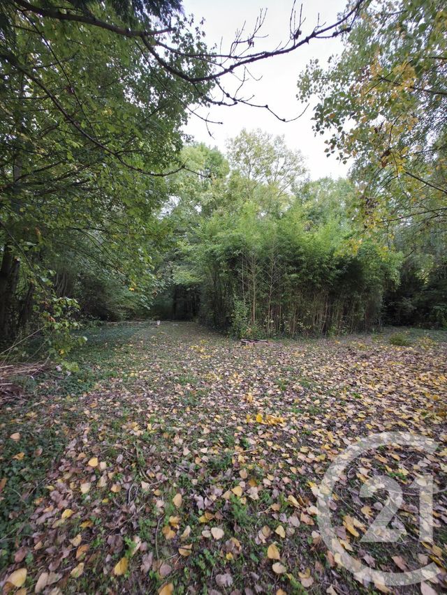 Terrain à vendre - 1563 m2 - Ay Champagne - 51 - CHAMPAGNE-ARDENNE