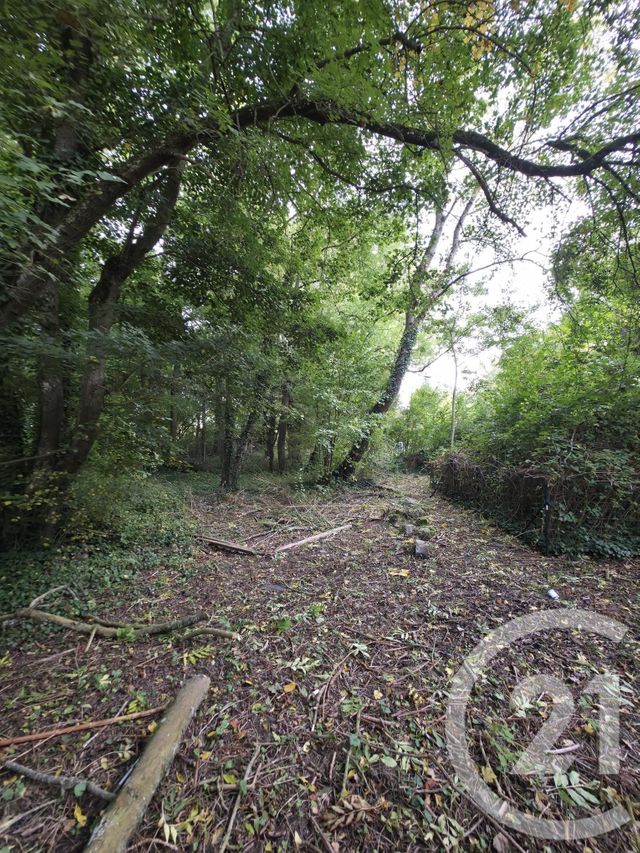 Terrain à vendre - 1563 m2 - Ay Champagne - 51 - CHAMPAGNE-ARDENNE