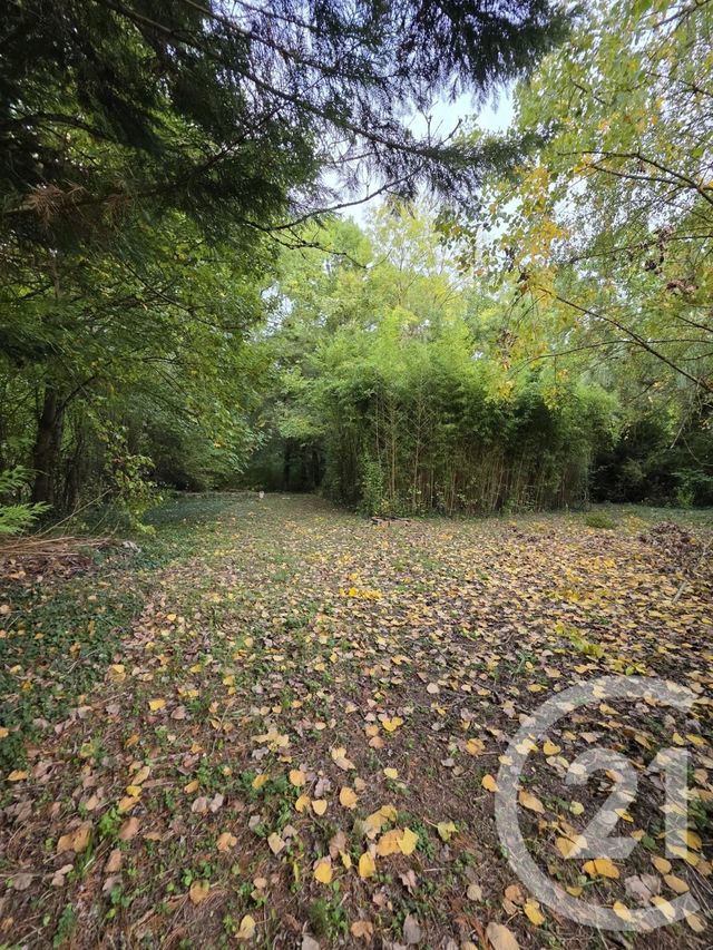 Terrain à vendre - 1563 m2 - Ay Champagne - 51 - CHAMPAGNE-ARDENNE