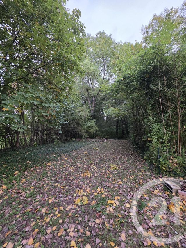 Terrain à vendre - 1563 m2 - Ay Champagne - 51 - CHAMPAGNE-ARDENNE