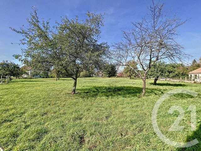 Terrain à vendre - 1392 m2 - Chennegy - 10 - CHAMPAGNE-ARDENNE