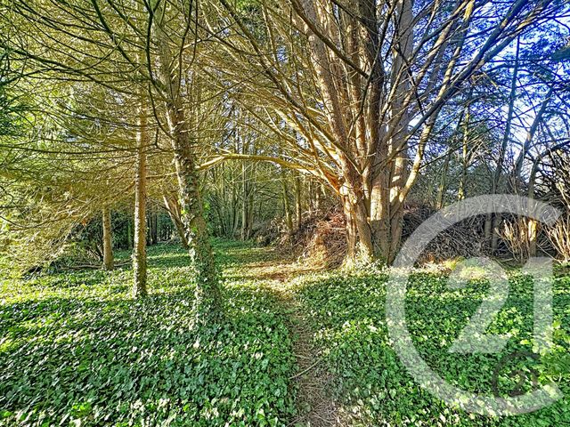 Maison &agrave; vendre - 4 pi&egrave;ces - 135 m2 - Bercenay En Othe - 10 - CHAMPAGNE-ARDENNE