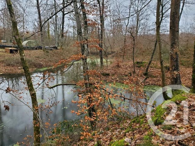 Terrain à vendre MARAYE EN OTHE