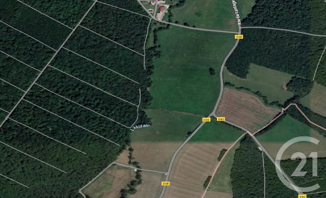 Terrain à vendre - 12670 m2 - Rumilly Les Vaudes - 10 - CHAMPAGNE-ARDENNE