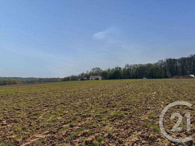 Terrain à vendre - 3470 m2 - Villeroy - 89 - BOURGOGNE