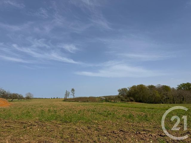 Terrain à vendre - 3470 m2 - Villeroy - 89 - BOURGOGNE
