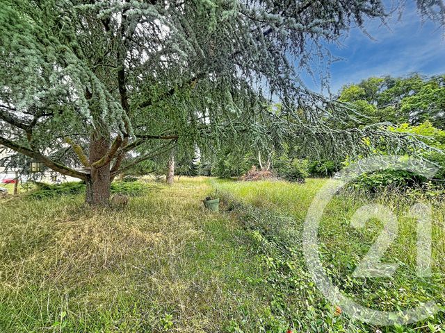 Terrain &agrave; vendre - 12169 m2 - Villeneuve Sur Yonne - 89 - BOURGOGNE