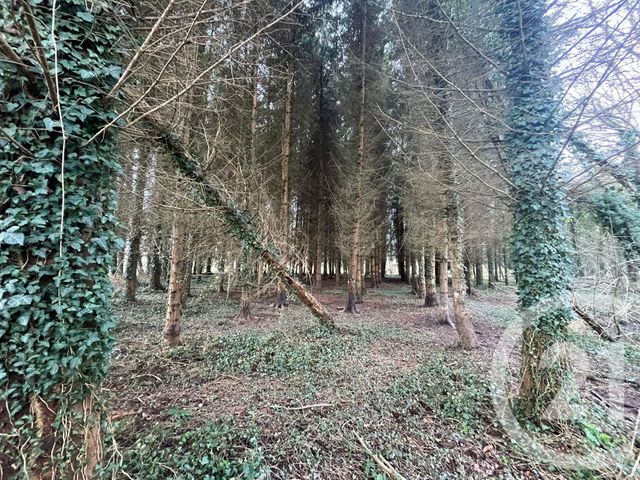 Maison &agrave; vendre - 11 pi&egrave;ces - 270,62 m2 - Lailly - 89 - BOURGOGNE