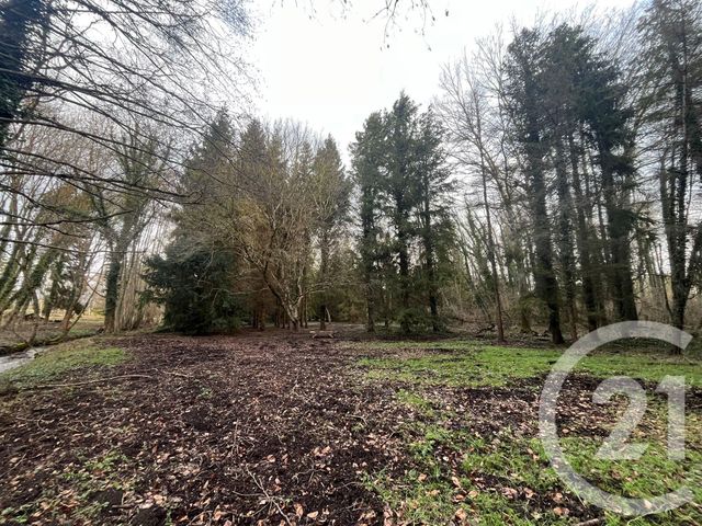 Maison &agrave; vendre - 11 pi&egrave;ces - 270,62 m2 - Lailly - 89 - BOURGOGNE