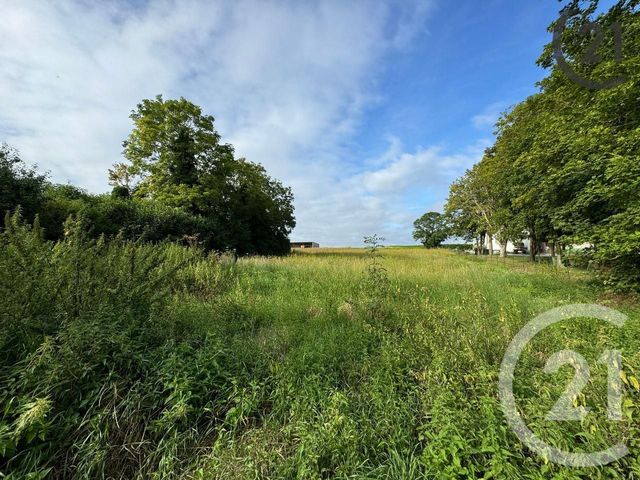 Maison à vendre - 3 pièces - 135 m2 - Echemines - 10 - CHAMPAGNE-ARDENNE