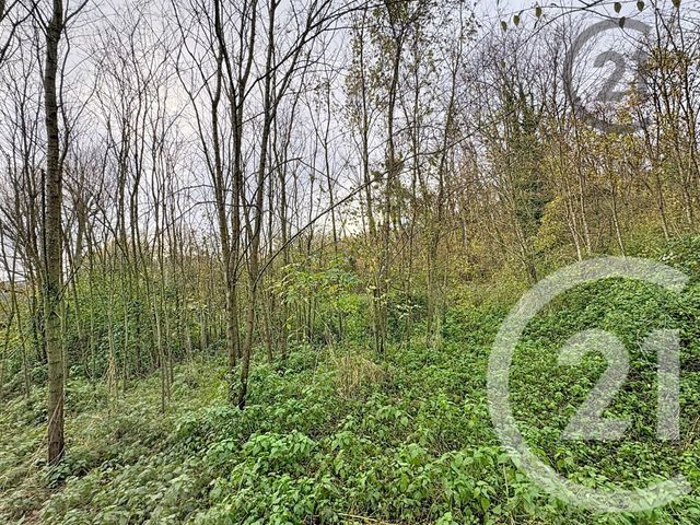 Terrain à vendre - 5221 m2 - Chalautre La Petite - 77 - ILE-DE-FRANCE