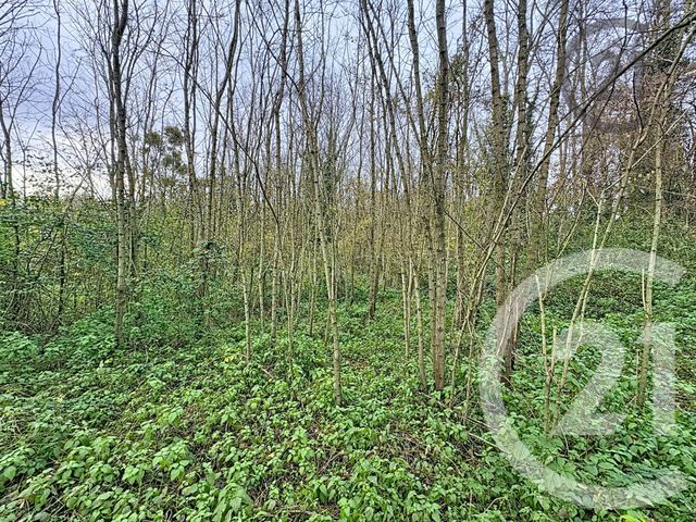 Terrain à vendre - 5221 m2 - Chalautre La Petite - 77 - ILE-DE-FRANCE