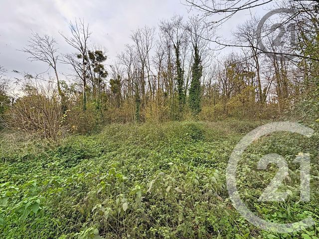 Terrain à vendre - 5221 m2 - Chalautre La Petite - 77 - ILE-DE-FRANCE