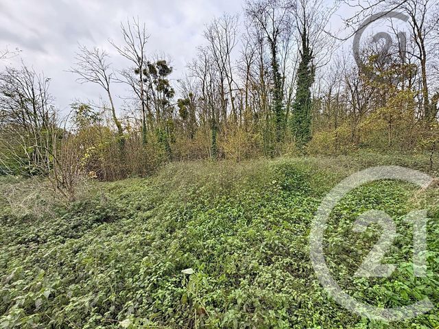 Terrain à vendre - 5221 m2 - Chalautre La Petite - 77 - ILE-DE-FRANCE