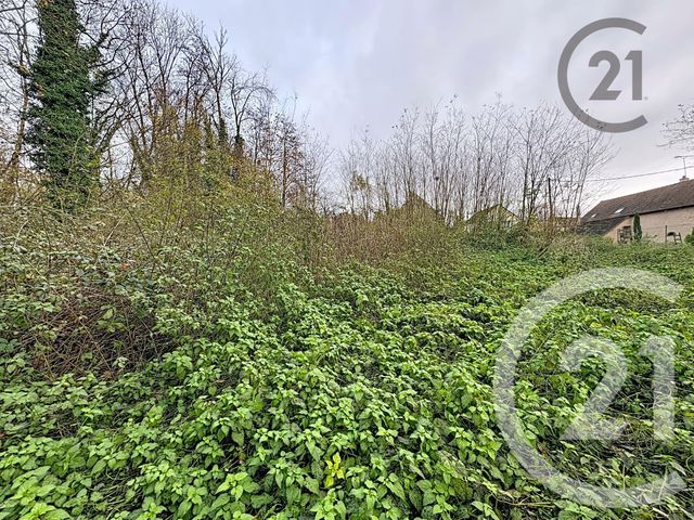 Terrain à vendre - 5221 m2 - Chalautre La Petite - 77 - ILE-DE-FRANCE