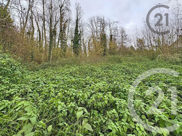 Terrain à vendre - 5221 m2 - Chalautre La Petite - 77 - ILE-DE-FRANCE