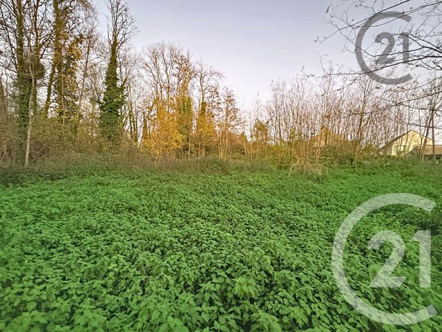 Terrain à vendre - 5221 m2 - Chalautre La Petite - 77 - ILE-DE-FRANCE