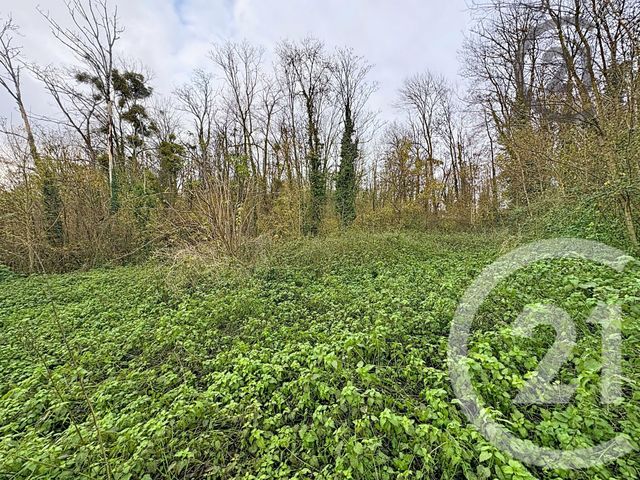 Terrain à vendre - 5221 m2 - Chalautre La Petite - 77 - ILE-DE-FRANCE