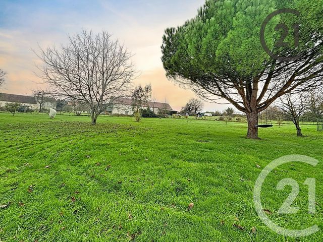 Maison à vendre - 8 pièces - 196,69 m2 - Cerneux - 77 - ILE-DE-FRANCE